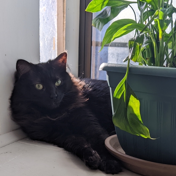 Meet your Posher - Picture 7 of 11